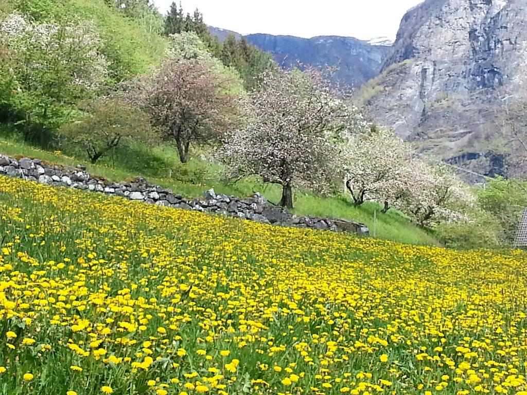 Апартаменты Dampskipskaia Aurlandsvangen Экстерьер фото